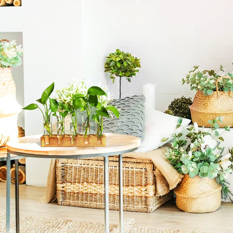 Renmxj Plant Propagation Station  Plant Terrarium with Wooden Stand  Plant Pots for Hydroponics  Small Birthday Gardening Gifts for Women Mom Plant Lovers Unique - 5 Glass Test Tubes Vases - Image 4